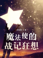 ħ��ʹ��ս�ǿ���