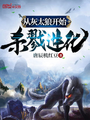 �ӻ�̫�ǿ�ʼ���޽���