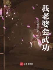 �����Ż��书